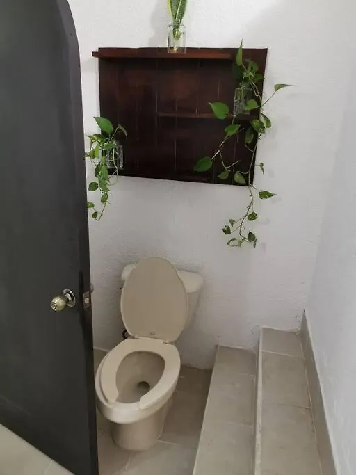 Centric Apartment Close To Ado Cancun Mexico
